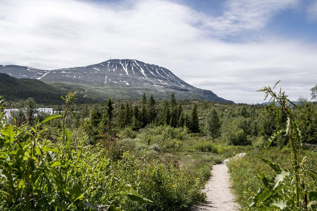 Kvitavatn Fjellstue Gaustablikk Extérieur photo