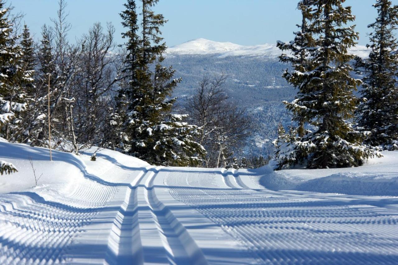 Kvitavatn Fjellstue Gaustablikk Extérieur photo